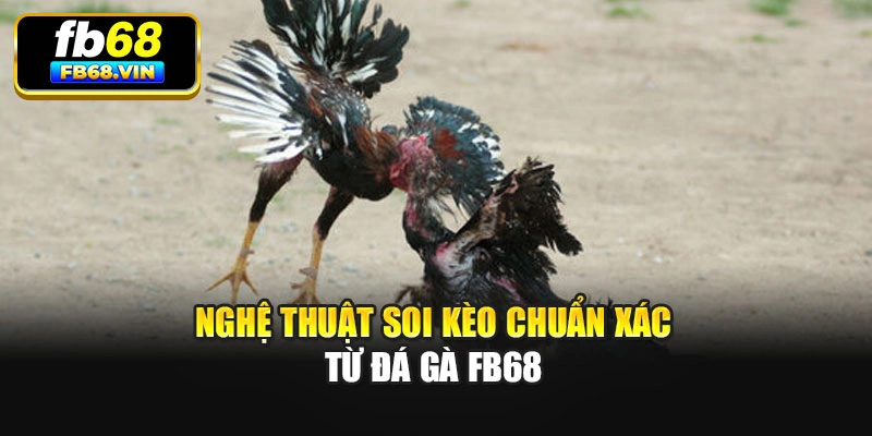 Nghệ thuật soi kèo chuẩn xác từ đá gà Fb68