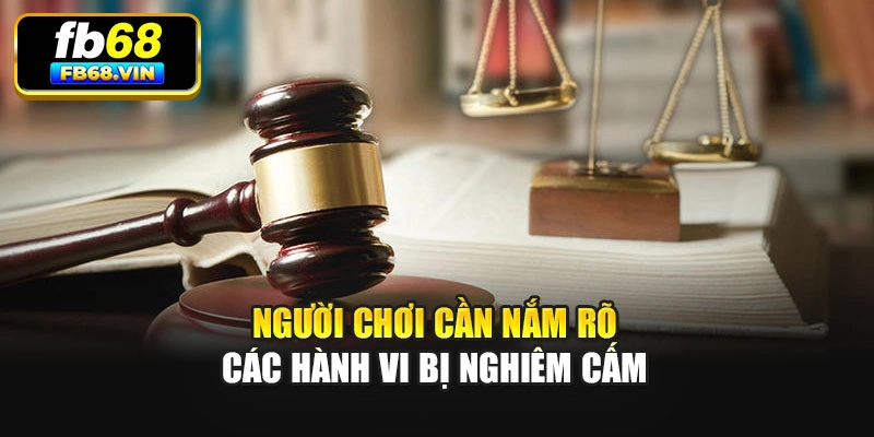 Người chơi cần nắm rõ các hành vi bị nghiêm cấm